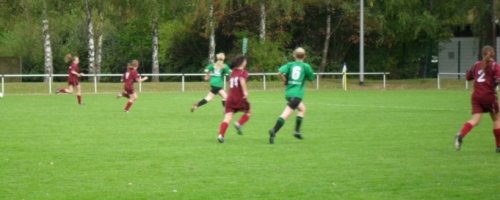 Bild 010